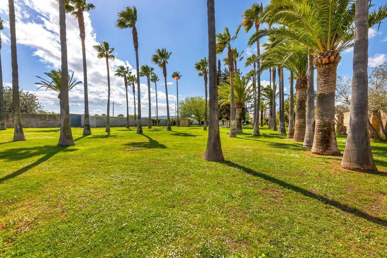 Es Moli Dels Reis Villa Palma de Mallorca